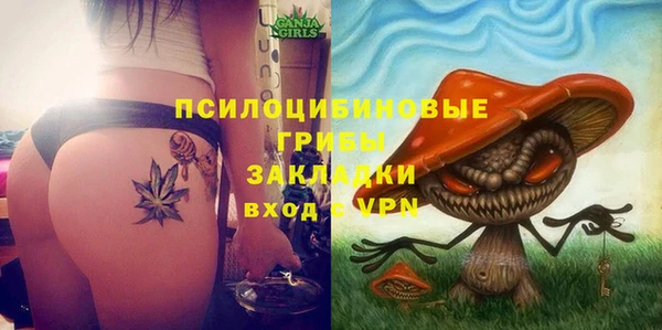 сатива Бугульма